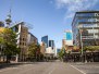 Auckland, le Northland et Coromandel