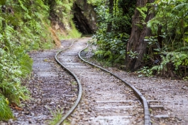 Anciens rails, Karangahake Gorge