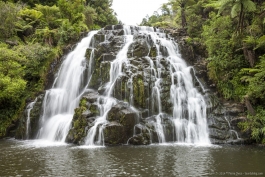 Owharoa Falls, Coromandel