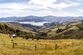 Panoramique de la baie d'Akaroa