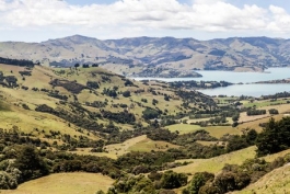 Panoramique de la baie d'Akaroa