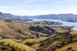 Panoramique de la baie d'Akaroa