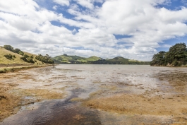 Hoopers Inlet, Otago Peninsula