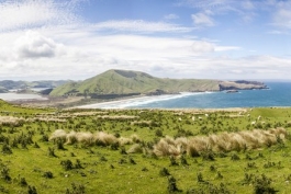 Panoramique d'Otago Peninsula