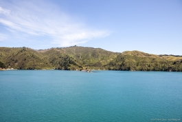 En bateau dans les Marlborough Sounds