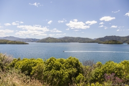 Queen Charlotte Sound
