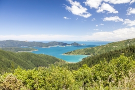 Vue sur les Marlborough Sounds