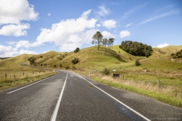 On the highway n°6