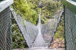 Swing Bridge, Buller Gorge