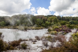 Autour du village de Whakarewarewa