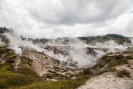 Geysers de Rotorua
