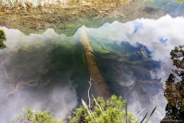 Mirror Lakes, Te Anau