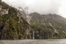 Croisière dans Milford Sound
