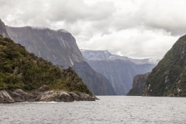 Croisière dans Milford Sound