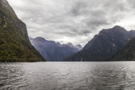 Croisière dans Milford Sound