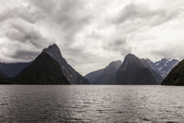 Croisière dans Milford Sound