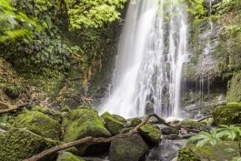 Matai Falls, The Catlins