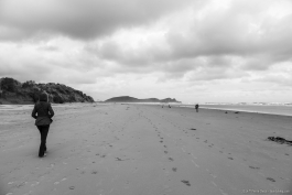 Plage de Surat Bay, The Catlins