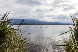 Lac Rotoaira