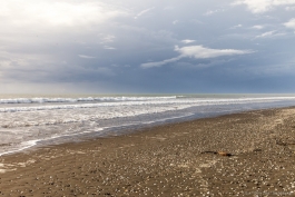 Otaki Beach