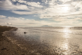 Otaki Beach au coucher du soleil