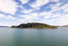 Baie de Wellington depuis le ferry vers Picton