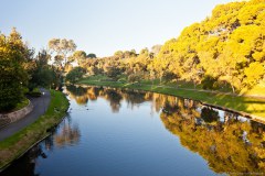 Torrens River