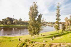 La Torrens River