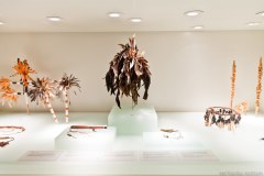 South Australian Museum