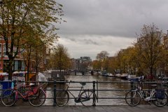 img_2228
