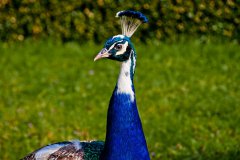img_6395