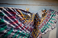 cerf-volant