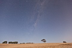 Ciel étoilé dans la Barossa Valley