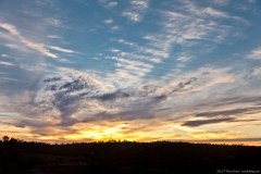 Coucher de soleil sur la Barossa Valley