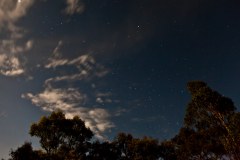 Camp-Megalong3