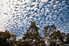 Camp-Megalong4
