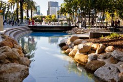 Brisbane Lagoon, South Bank