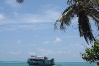 Sous les déchets, la plage