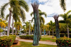 Parc le long de la marina