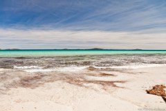 Les algues de Cape Le Grand Beach, Cape Le Grand National Park