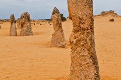 Pinnacles, Nambung National Park