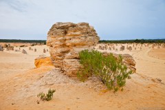 Nambung National Park