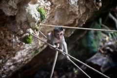 singe-railay-bay1