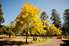 Kiama8