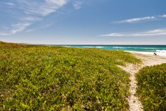 Seven-Miles-Beach2
