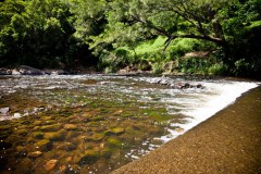 Kangaroo Valley2