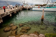 Greenwell Point