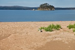 Corrigans Beach