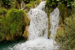 img_5800