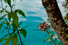 img_5825
